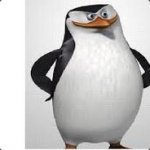 dr.Skipper