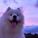 kiemontv