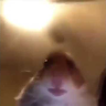 manuxREAL